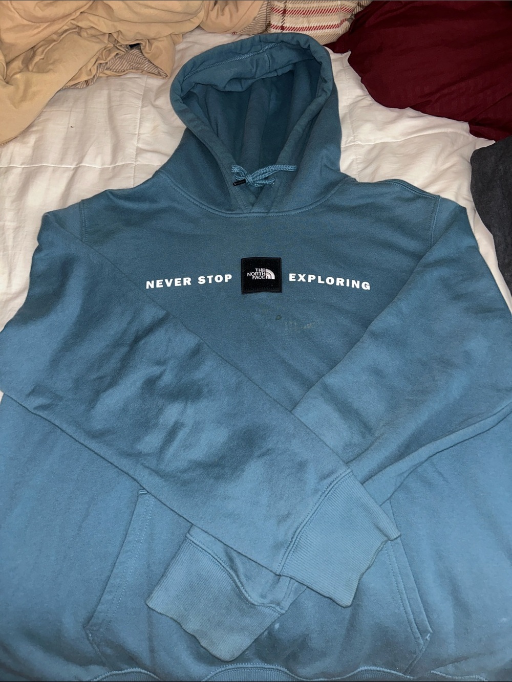 North Face Men's 'Never Stop Exploring' Blue/Teal Hoodie